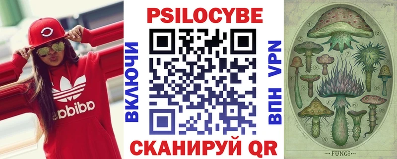 цены наркотик  это как зайти  Псилоцибиновые грибы мицелий  Карасук 